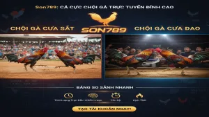 Đá gà cựa sắt và đá gà cựa dao: Sự khác biệt Son789